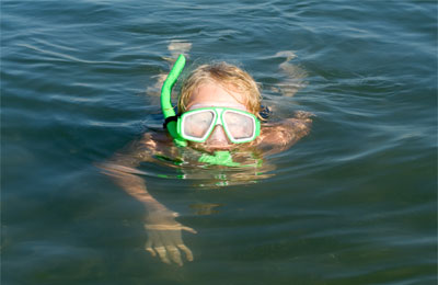 Bog Snorkelling